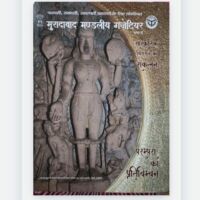 *अंग्रेजी राज में सुल्ताना डाकू की भूमिका*