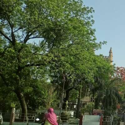 विकट संयोग