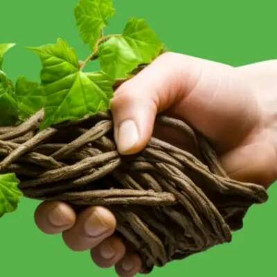 तत्क्षण