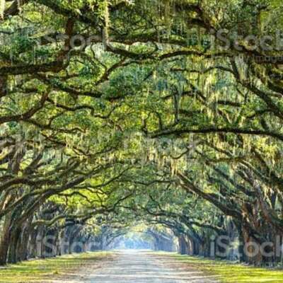 ✍️तमाशा✍️