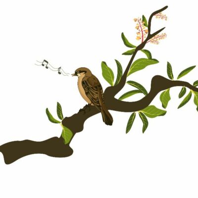 बे घर हुए