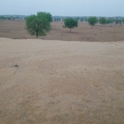 हथिनी की व्यथा