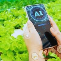 आधुनिक तकनीक से स्मार्ट खेती