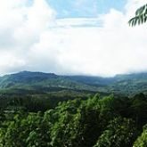 मातृस्वरूपा प्रकृति