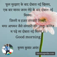 फूल मुरझाए के बाद दोबारा नई खिलय,