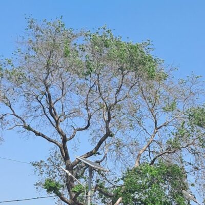 खामोश आवाज़