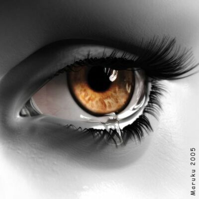 /•• यक्ष प्रश्न ••/