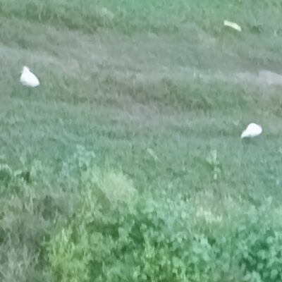 परिश्रम