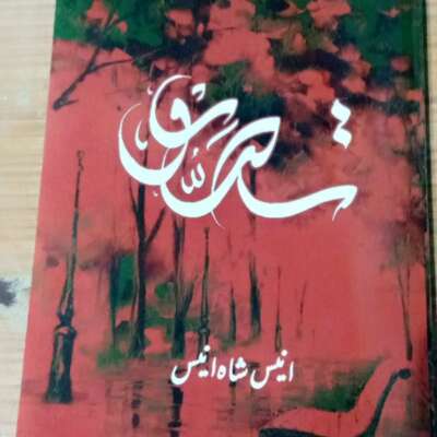 मैं भटकता ही रहा दश्त-ए-शनासाई में