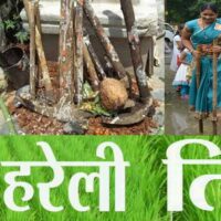 छत्तीसगढ़िया संस्कृति के चिन्हारी- हरेली तिहार