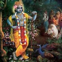 सत्संग की ओर