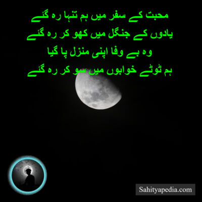 محبت کے سفر میں ہم تنہا رہ گئے