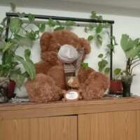 साथ तुम्हारा