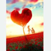 खिड़की खुले जो तेरे आशियाने की तुझे मेरा दीदार हो जाए,