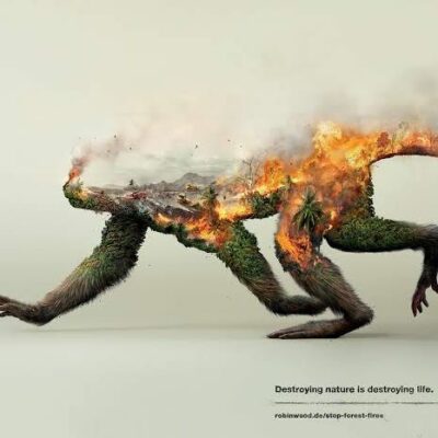 कहां गए (कविता)