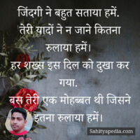 जिंदगी ने बहुत सताया हमें.