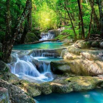 जीवनामृत