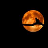 Have faith in your doubt