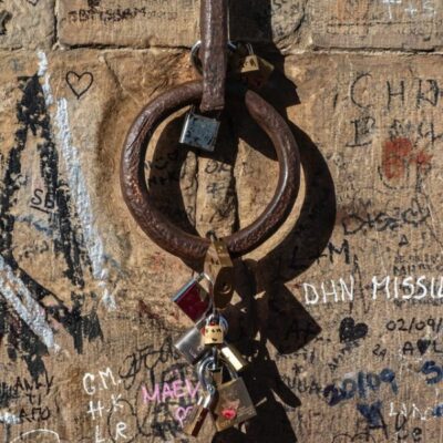 भांथी के विलुप्ति के कगार पर होने के बहाने / मुसाफ़िर बैठा