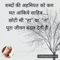 शब्दों की अहमियत को कम मत आंकिये साहिब....