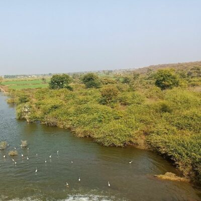 डर डर के उड़ रहे पंछी