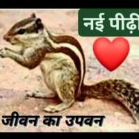 ■ घरेलू_वृत्तांत