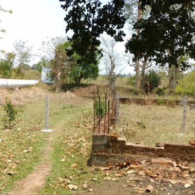 हूं तो इंसान लेकिन बड़ा वे हया