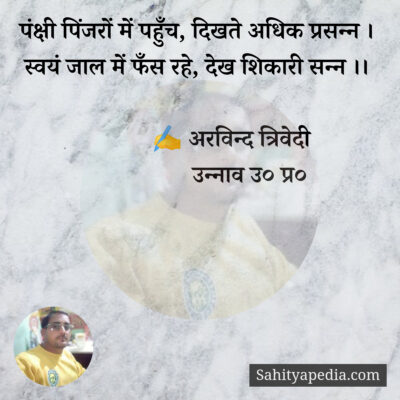 पंक्षी पिंजरों में पहुँच, दिखते अधिक प्रसन्न ।