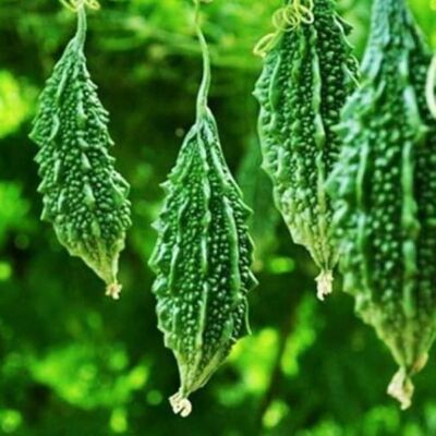 कड़वा करेला