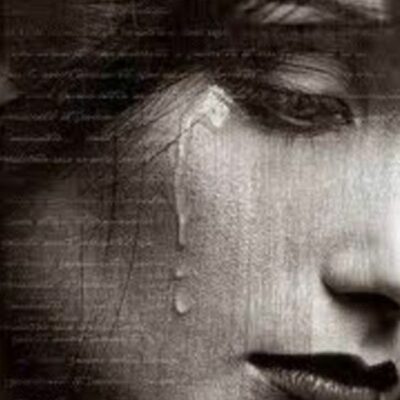 यादों के जंगल में