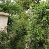 दोहा ग़ज़ल