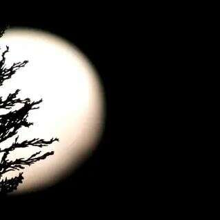 बिखरे खुद को, जब भी समेट कर रखा, खुद के ताबूत से हीं, खुद को गवां कर गए।