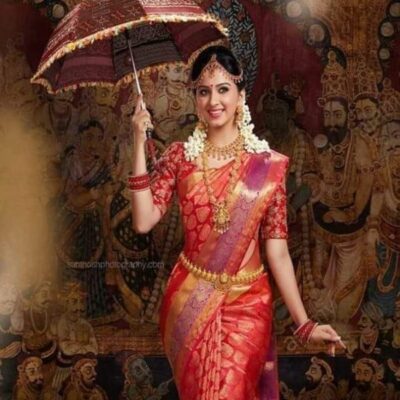 साड़ी हर नारी की शोभा