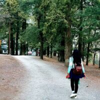 तेरे शहर की नादान सरहदें, अब मुझको रिझाती नहीं,