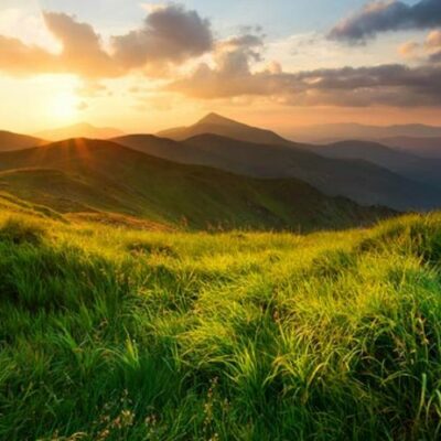 प्रकृति के फितरत के संग चलो