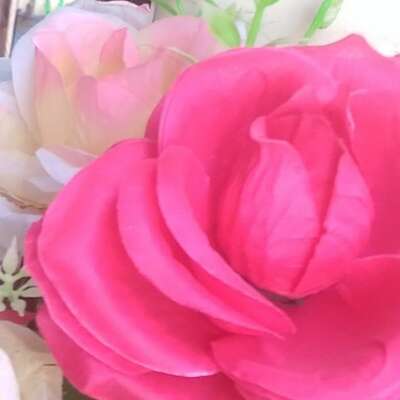 किसी भी दीद