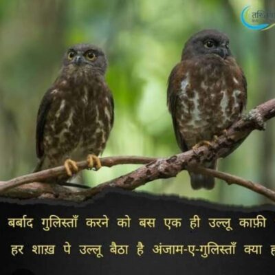 ज़हालत का दौर