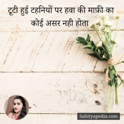 टूटी हुई टहनियों पर हवा की माफ़ी का कोई असर नही होता