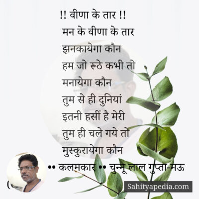 !! वीणा के तार !!