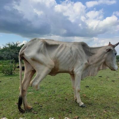 *नवनिधि क्षणिकाएँ---*