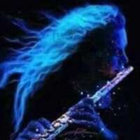 ✍️शब्दांच्या संवेदना...✍️