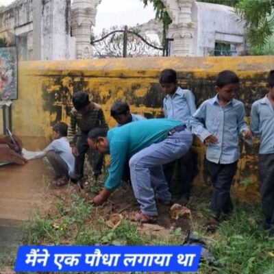 मैंने एक पौधा लगाया था