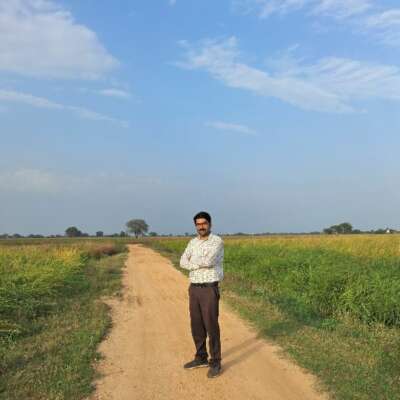 हरे भरे खेत