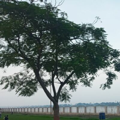 Maybe this is me right now