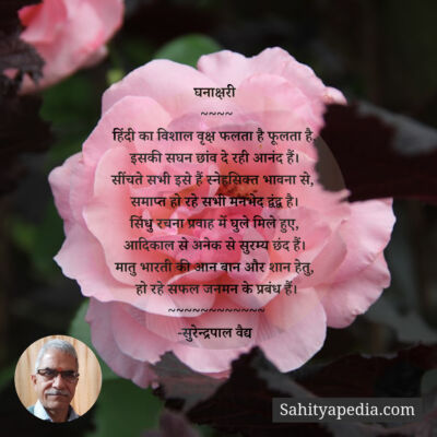 घनाक्षरी