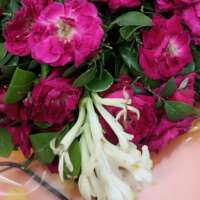 खिंचता है मन क्यों