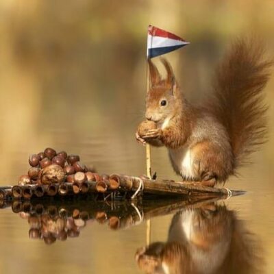 घर बन रहा है