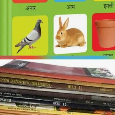 मेरी प्यारी हिन्दी भाषा