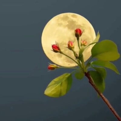 मेरे शब्द, मेरी कविता, मेरे गजल, मेरी ज़िन्दगी का अभिमान हो तुम