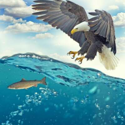 यह सागर कितना प्यासा है।